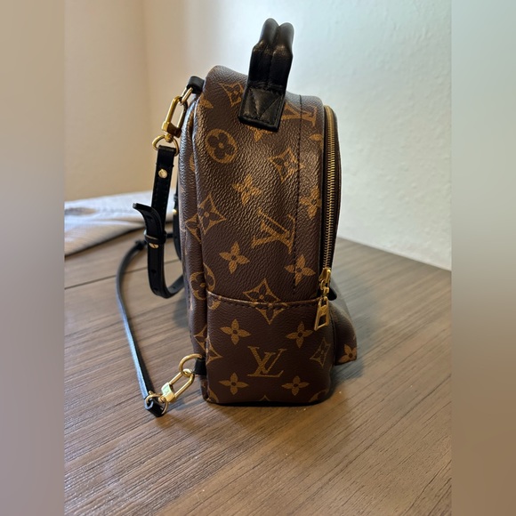 Louis Vuitton Palm Springs Mini Backpack Perfect condition!! - Picture 2 of 8
